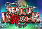 Wild Flower