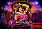 Fortune Teller