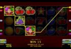 Slot 40