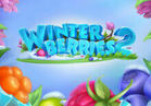 Winterberries 2