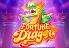 Fortune Dragon