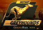 Dog H.Odds On Demand
