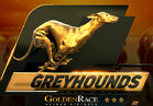 Dog Racing
