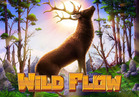 Wild Flow